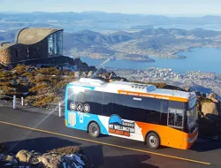 kunanyi/Mt Wellington Explorer or One-Way Bus Pass